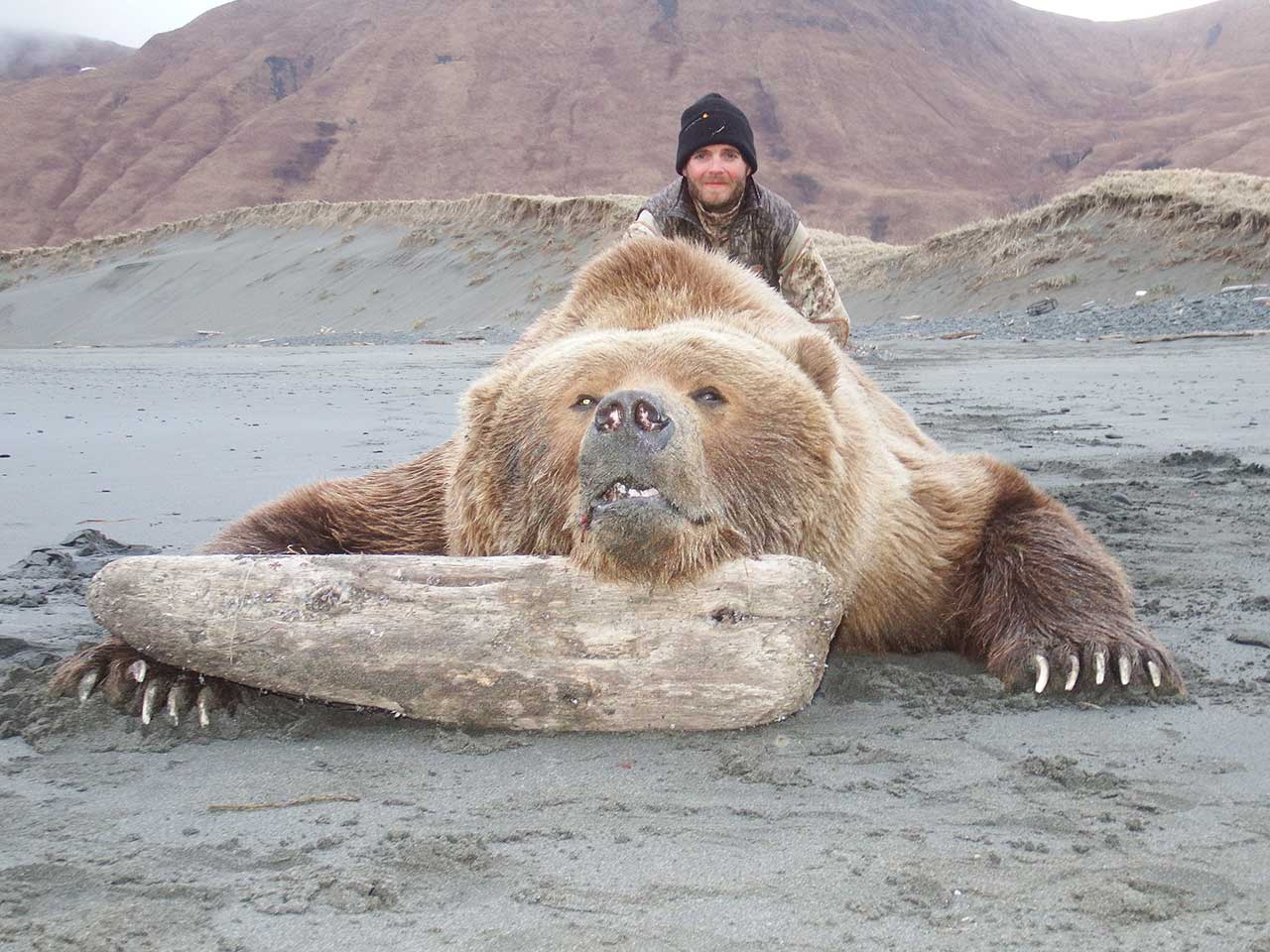 A hunter with a Kodiak Brown Bear