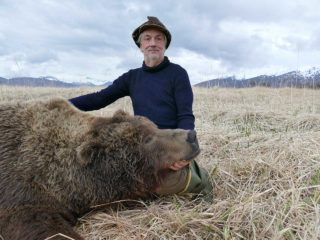 Hunting for Alaska Peninsula Brown Bear