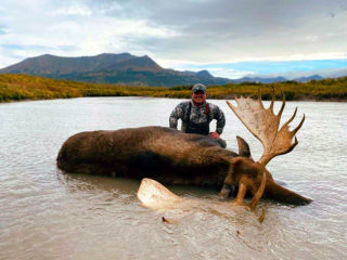 Alaskan Moose Hunt 3