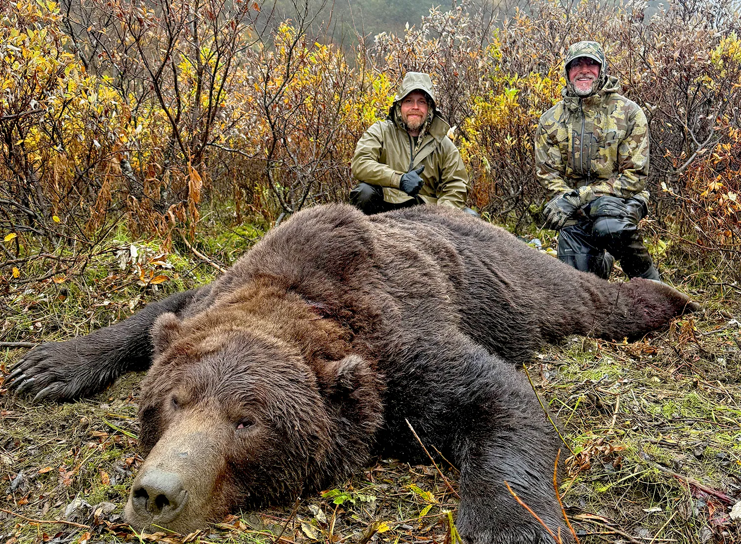 Billy-Kays-Left Billy Kays Left