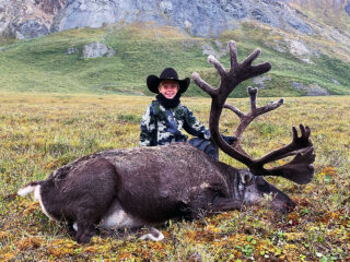 Brooks Range Caribou 101