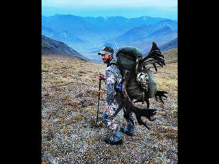 Brooks Range Caribou 103 1