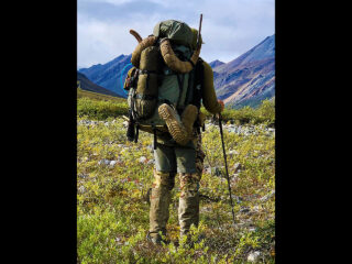 Brooks Range Dall Sheep 103 1