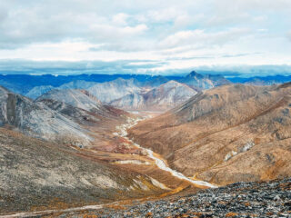 Brooks Range Dall Sheep 111