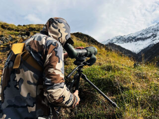 Brooks Range Dall Sheep 113