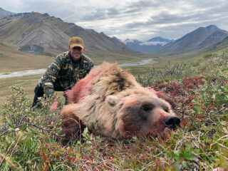 Brooks Range Grizzly Bear 106