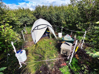 Hunting Camps on the Alaska Peninsula 108