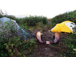 Hunting Camps on the Alaska Peninsula 112