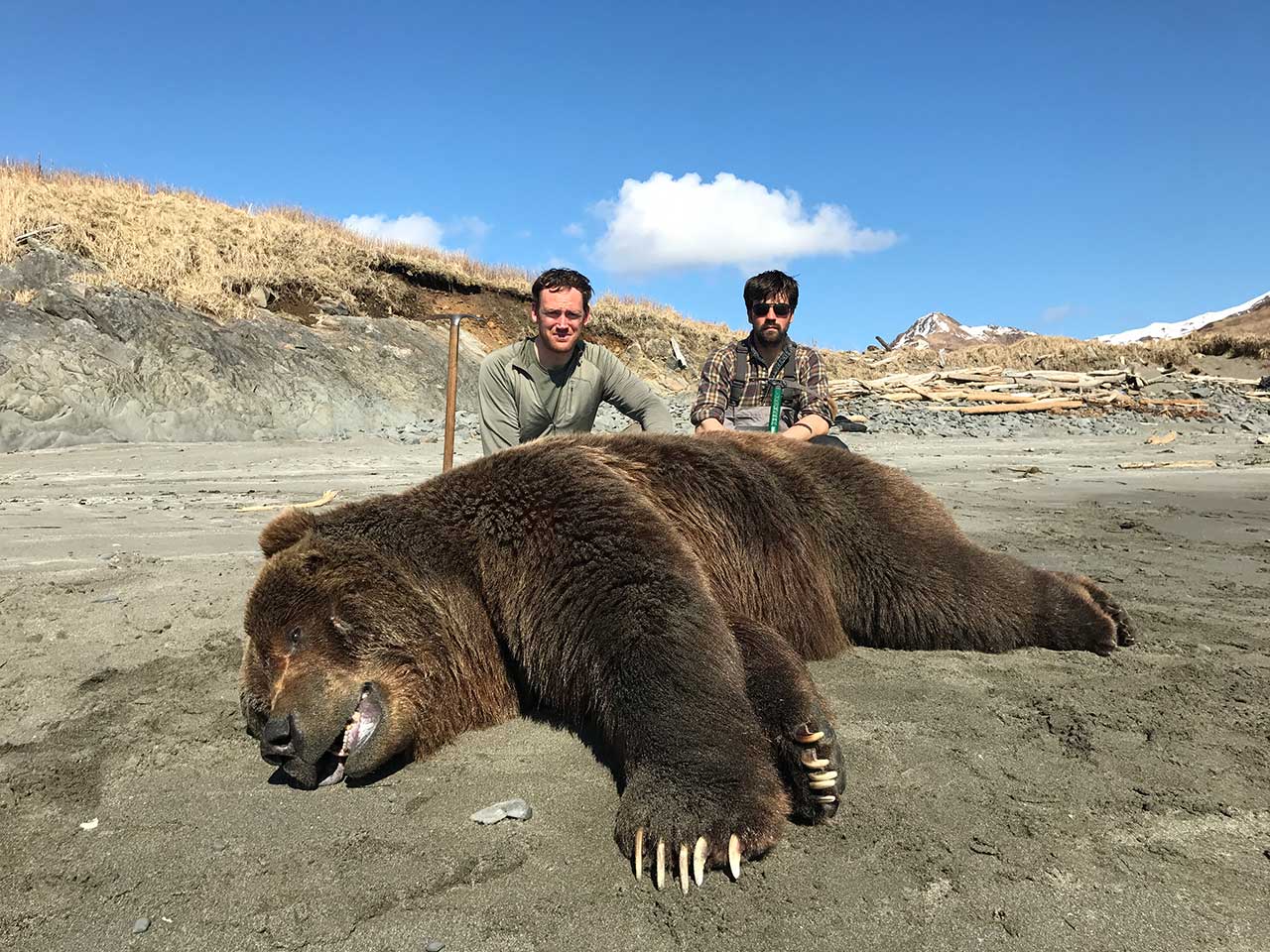 Hunters and a Kodiak Brown Bear