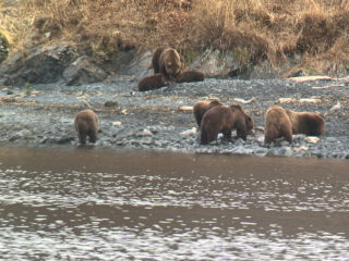 Scenery or Camp photo from Kodiak Brown Bear Hunt