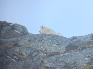 Scenery or Camp photo from Kodiak Mountain Goat Hunt
