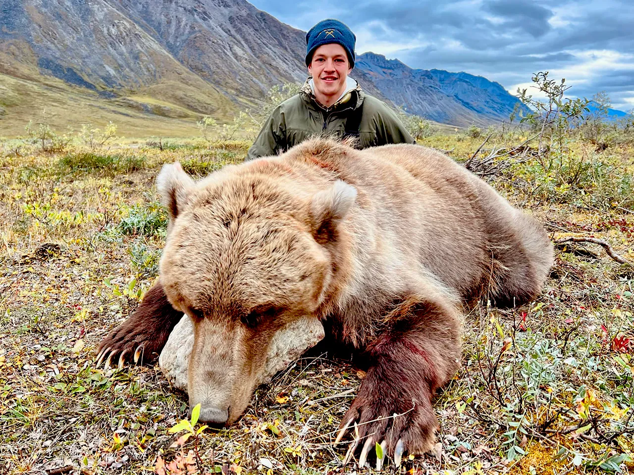 alaska-grizzly-bear-2026-1 alaska grizzly bear