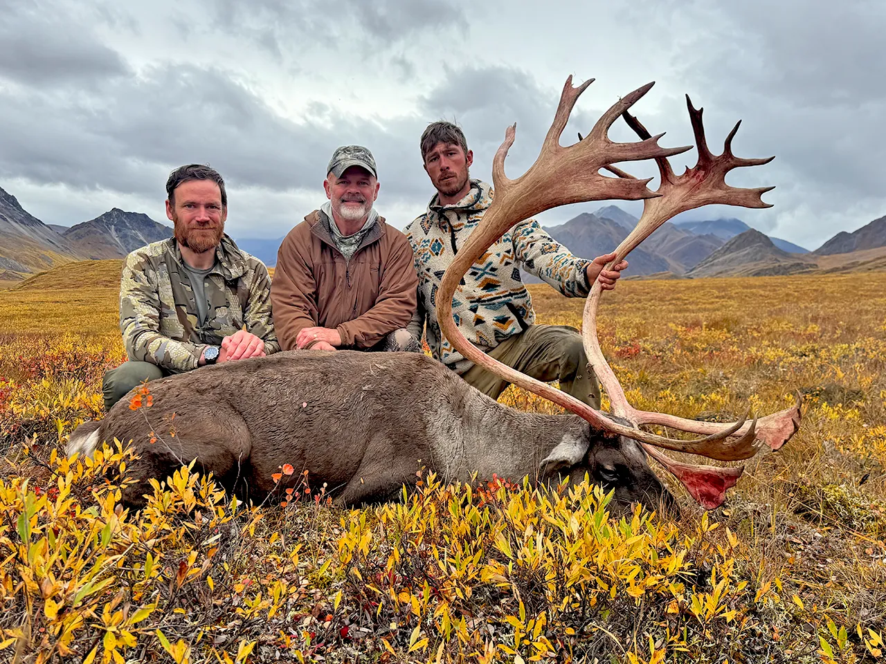 barren-ground-caribou-1 barren ground caribou
